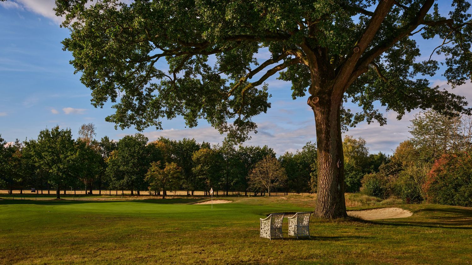 Peaceful golf course fairway with large oak tree, sand bunkers, and autumn foliage.