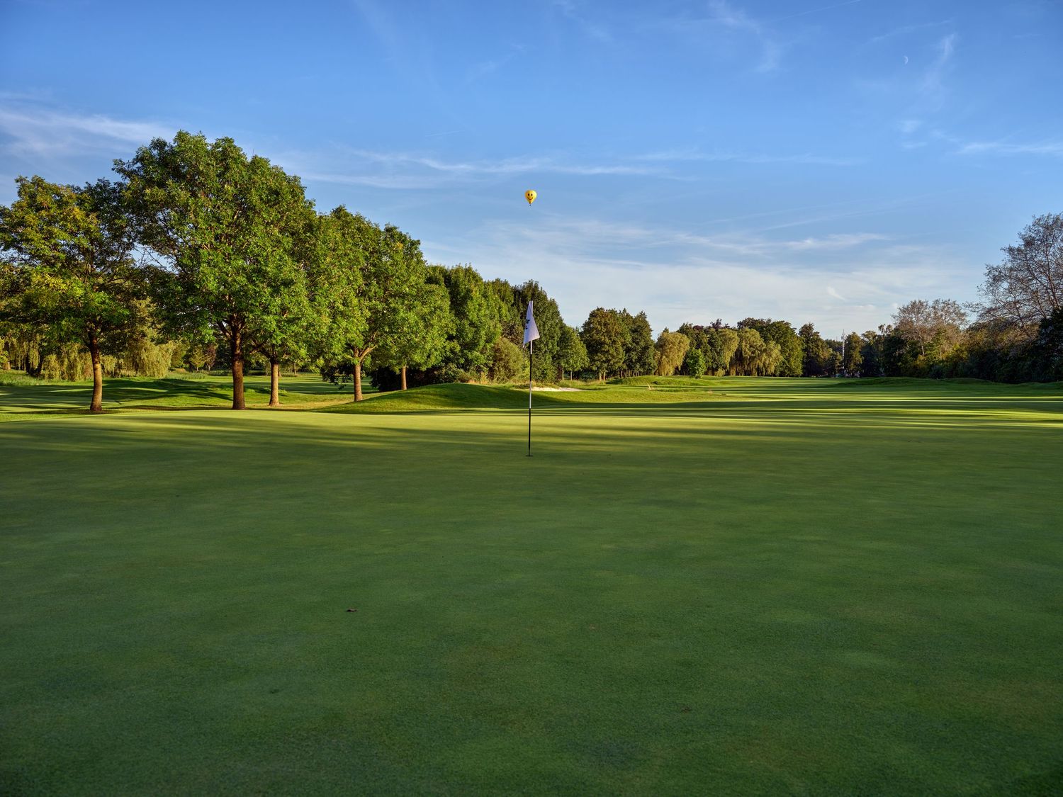 Lush green golf course fairway with a flag on the putting green, surrounded by tall trees under a clear blue sky.