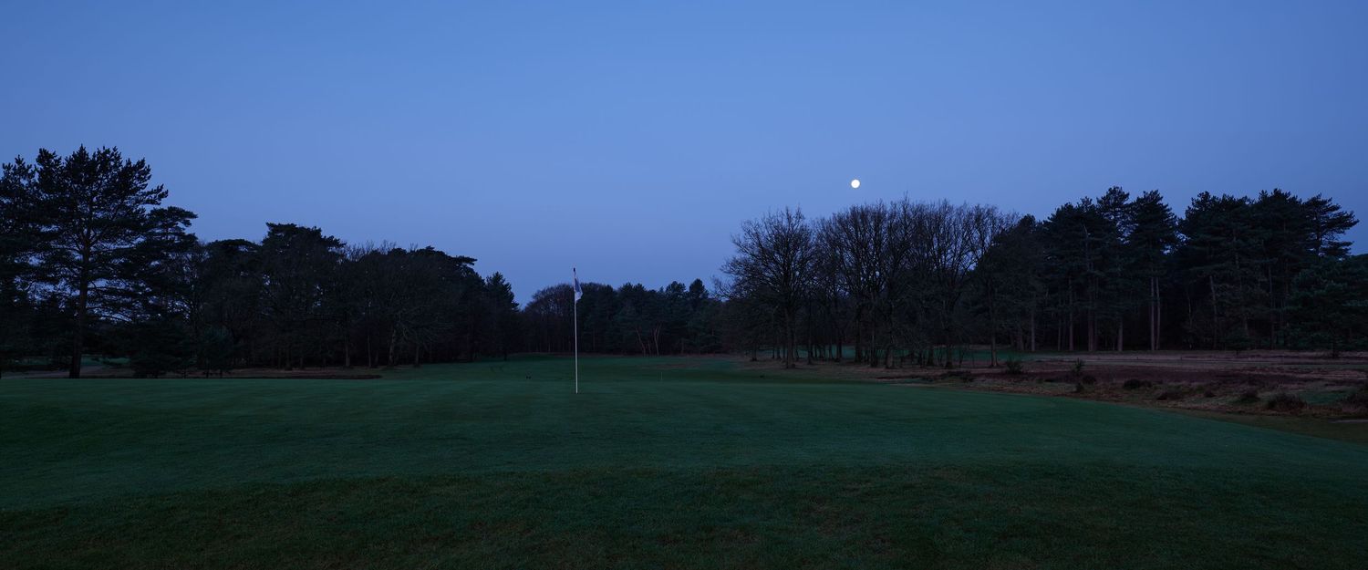 Moonlit golf course green at twilight with tall pine trees silhouetted against a deep blue sky.