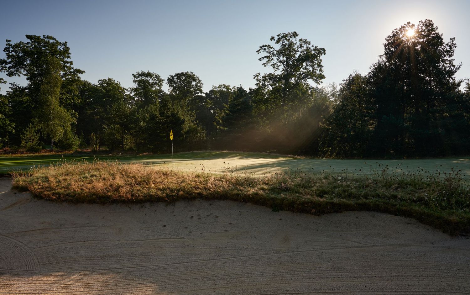 Early morning sunlight bursts through trees over a sandy golf bunker with a yellow pin flag.