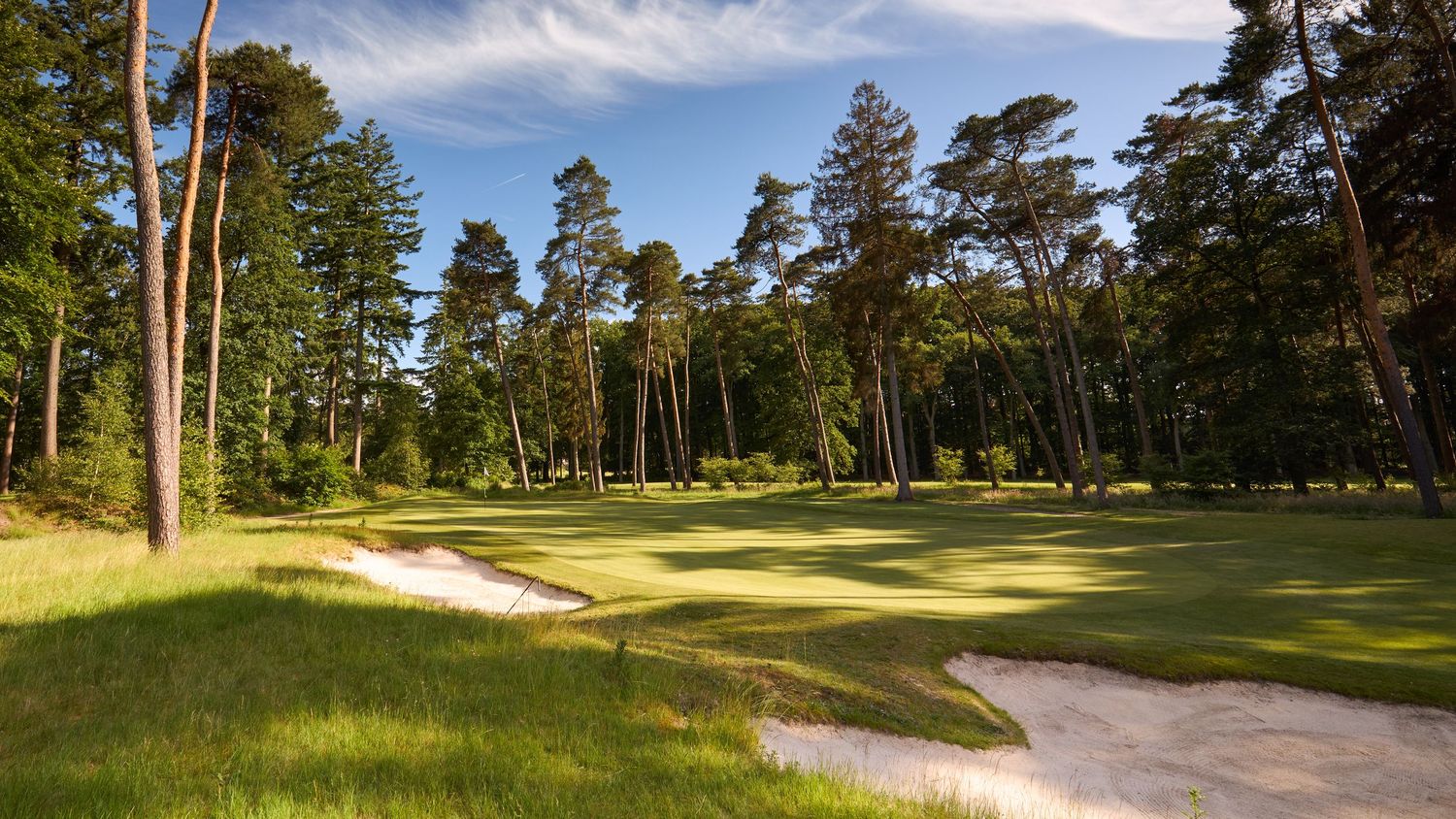 Sunlit heathland golf course with a large sand bunker and tall pine trees under a bright blue sky.