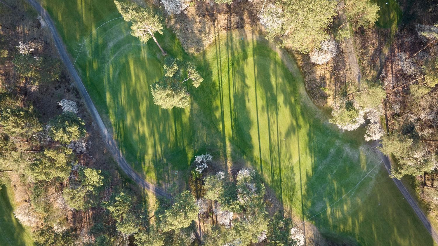 Bird's eye view of a golf course fairway winding through dense woodland with dappled sunlight filtering through trees.