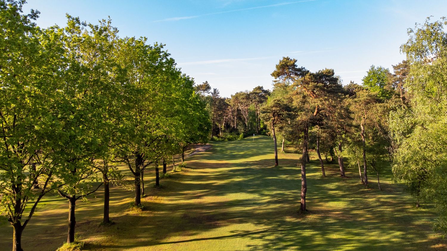 Tree-lined golf course fairway bathed in warm sunlight on a clear day.