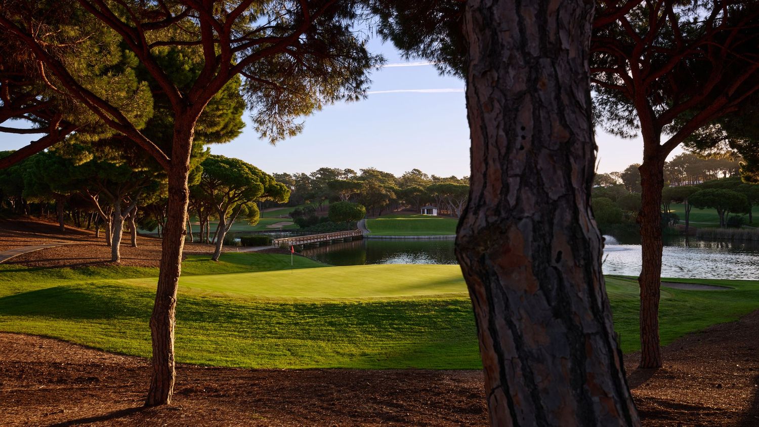 Sunlight filters through tall pine trees onto a lush golf course fairway beside a tranquil pond.