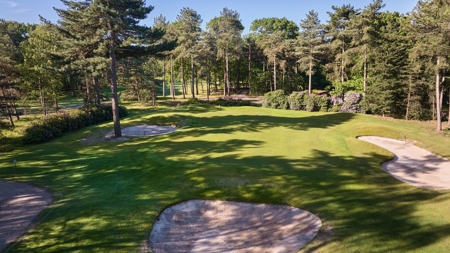 Close-up aerial view of a golf green with sand bunkers surrounded by pine trees.