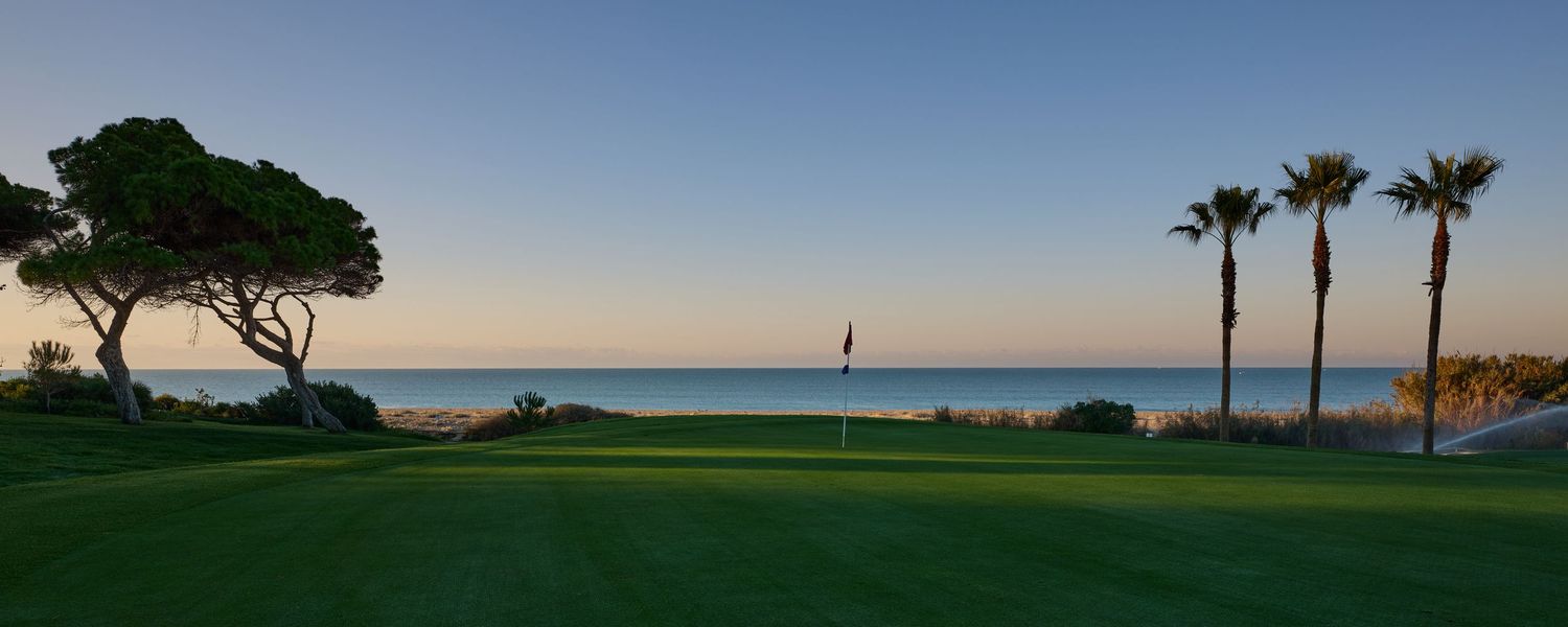 Coastal golf course green with flag pin and palm trees overlooking a calm blue ocean at sunset.