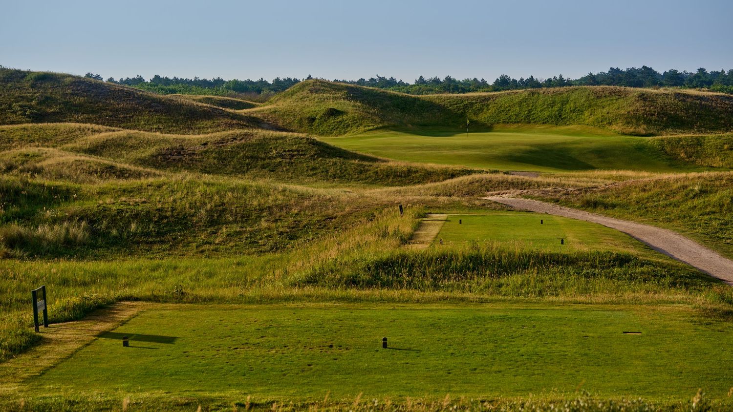 A dramatic links golf course landscape featuring rolling dunes, natural rough grass, and a winding cart path.