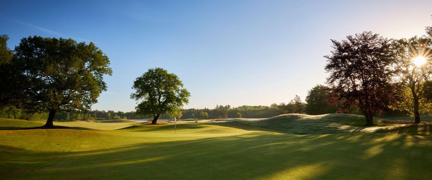 Golden sunlight streaming through mature trees onto a lush golf course fairway at sunset.