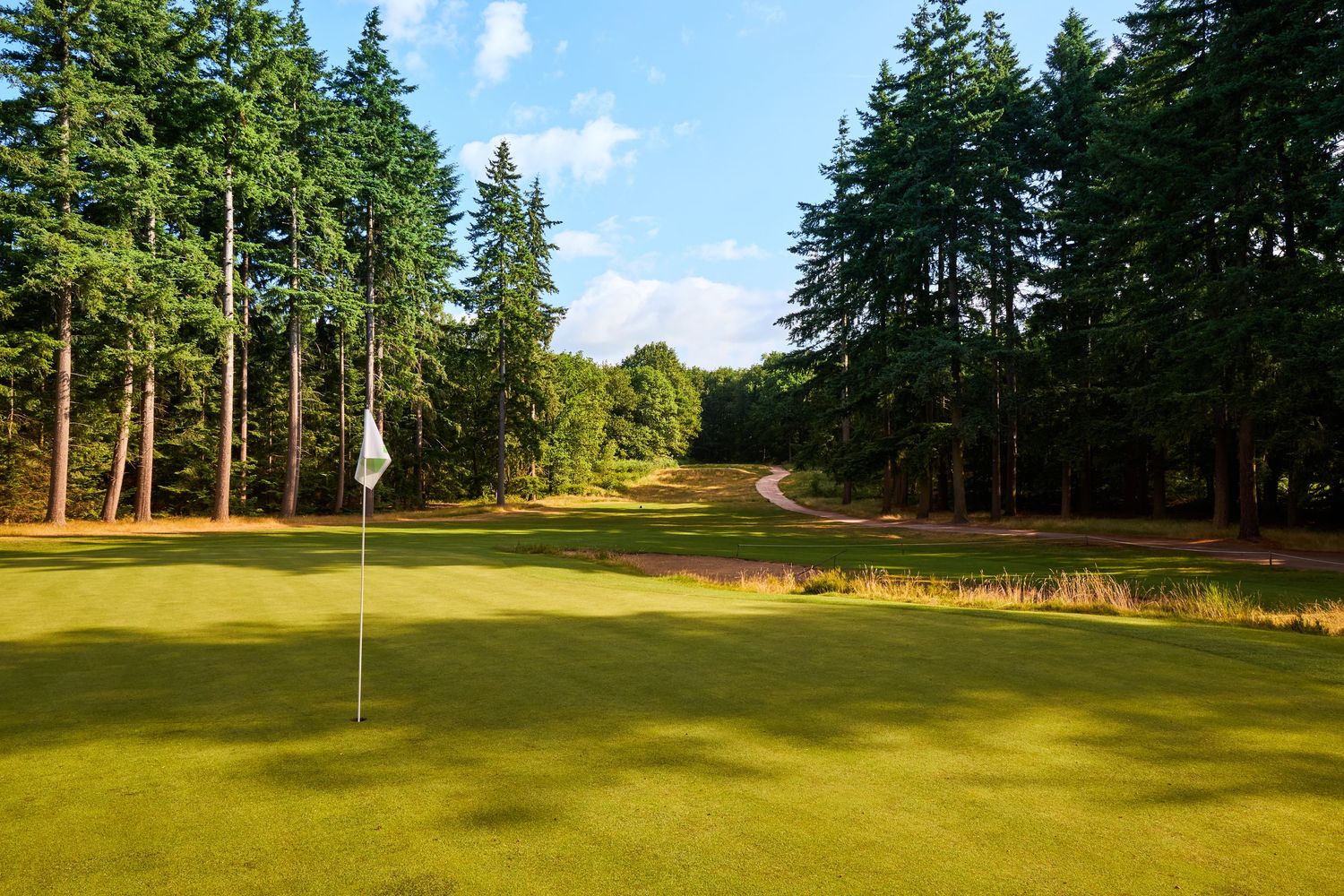 Golf course putting green with a white flag surrounded by tall pine trees along a wooded fairway.