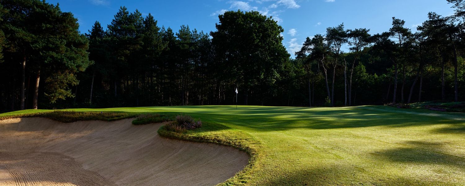 Golf course green with large sand bunker framed by tall pine trees under a bright blue sky.
