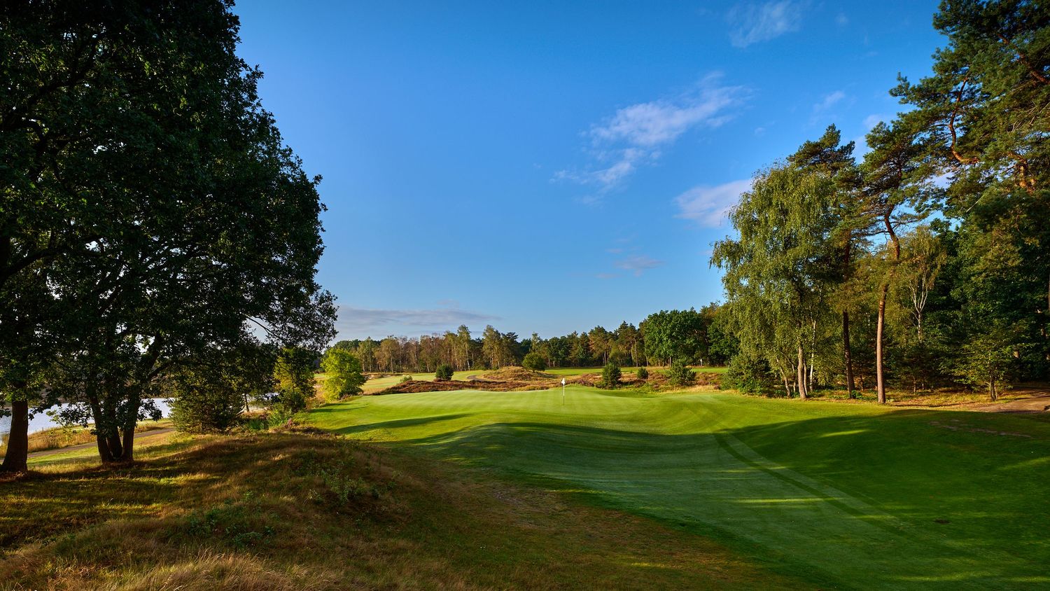 Scenic parkland golf course fairway lined with mature trees under a clear blue summer sky.