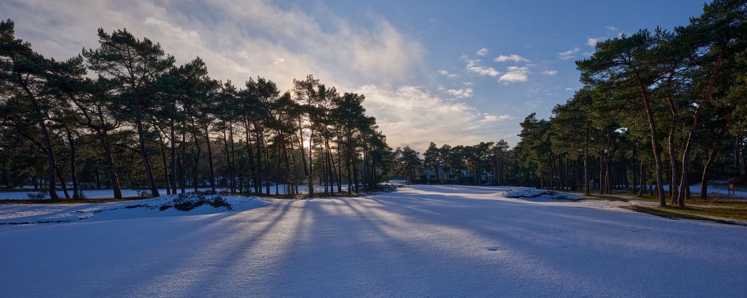 Snow-covered golf course fairway lined with pine trees casting long shadows in winter sunlight.