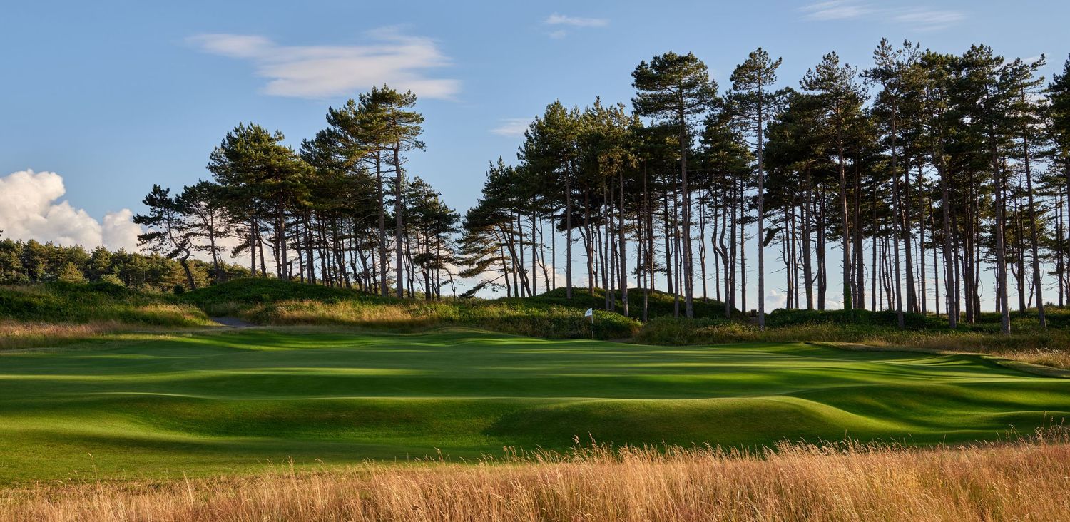 Golf hole with tall pine trees lining the fairway, wild grass rough, and blue sky with white clouds.