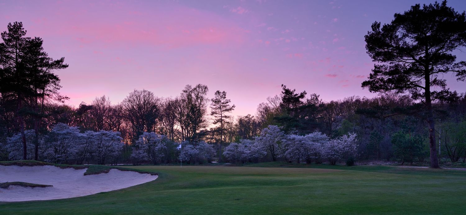 A golf course green with a sand bunker is framed by blooming trees under a vivid pink sunset.