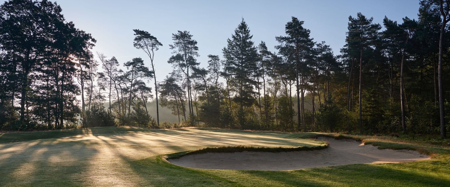 Misty morning light filters through pine trees over a sand bunker on a heathland golf course.