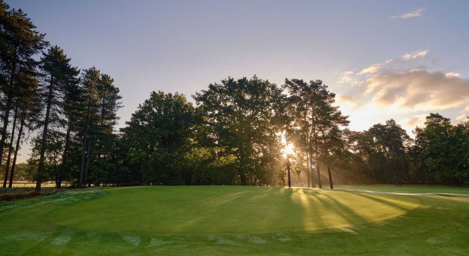 Sunbeams streaming through tall trees onto a pristine golf course fairway at golden hour.