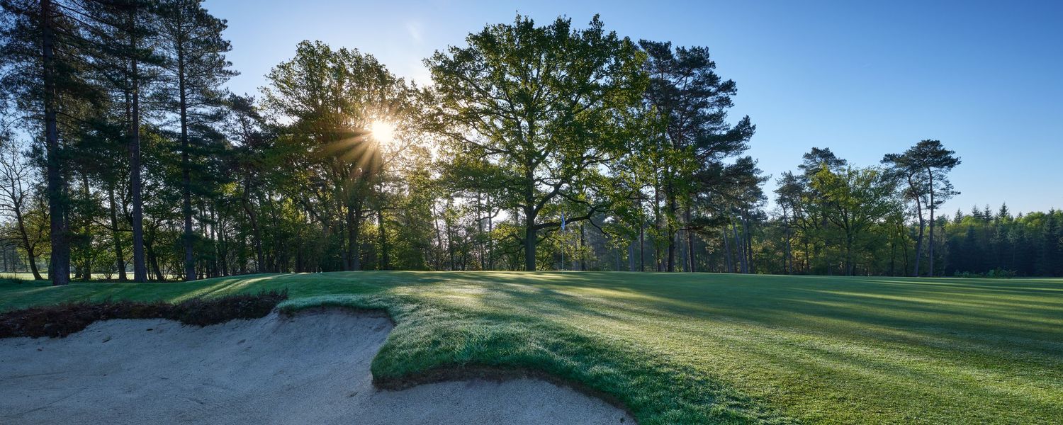 Sunlight bursts through mature trees beside a sand bunker on a scenic woodland golf course.