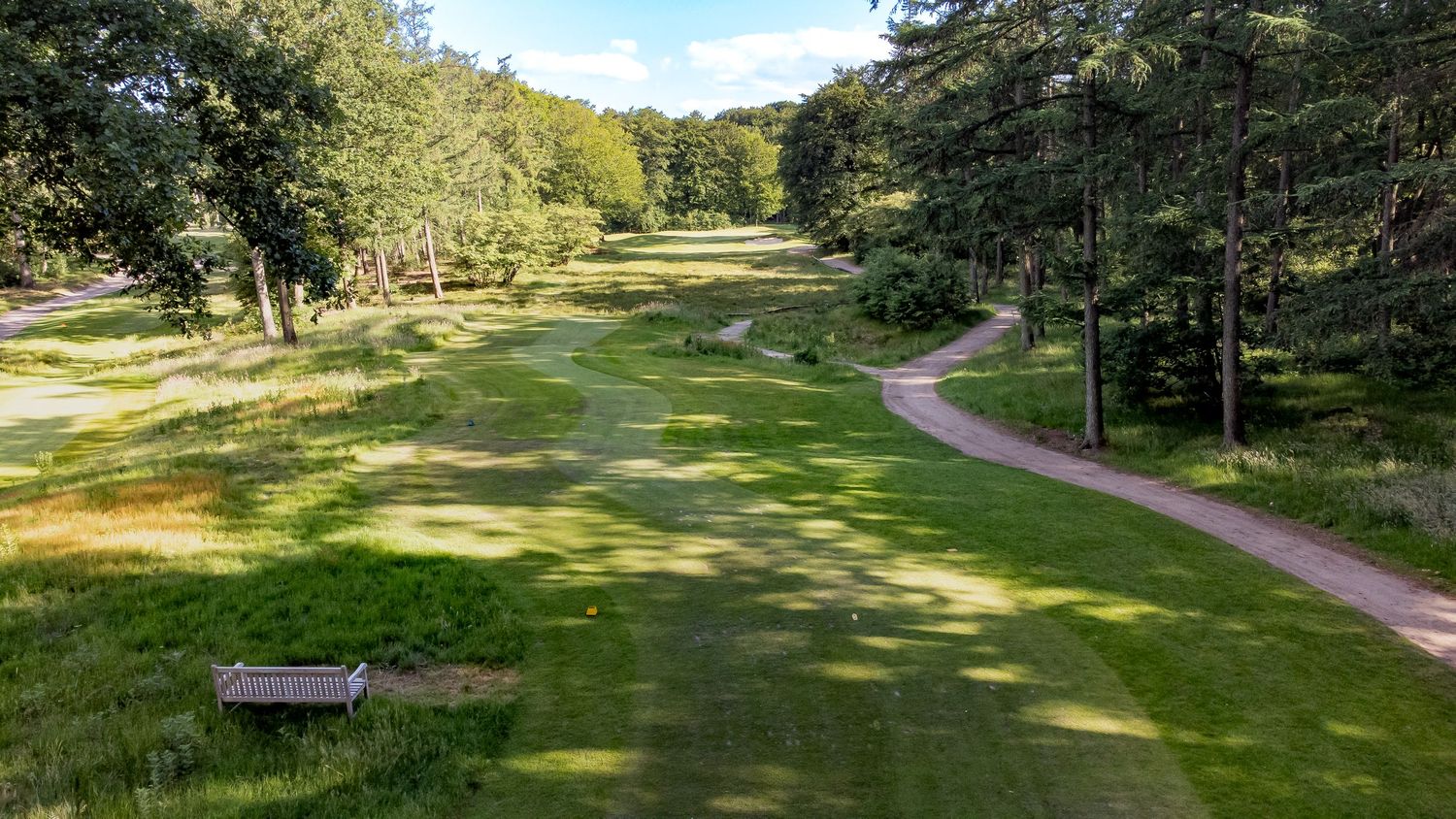 Aerial view of a wooded golf course fairway with a winding cart path on a sunny day.