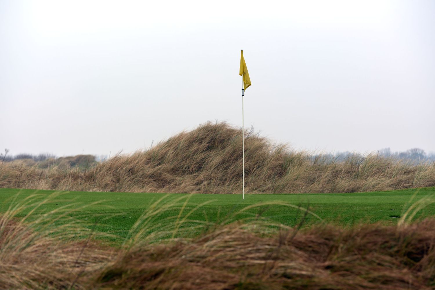 Yellow golf flag on links course green surrounded by tall grass dunes on overcast day.