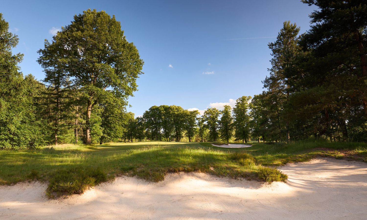Sunlit parkland golf course with large sand bunker framed by mature green trees on a clear day.