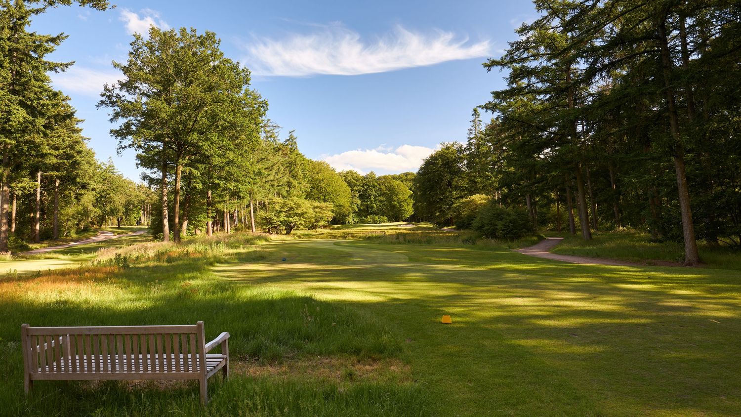 A serene golf course fairway lined with tall trees and a wooden bench in golden afternoon sunlight.