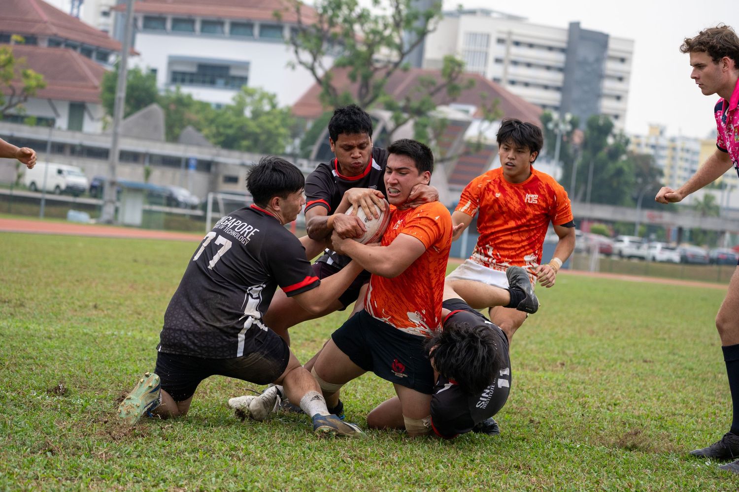 Tertiary 7s