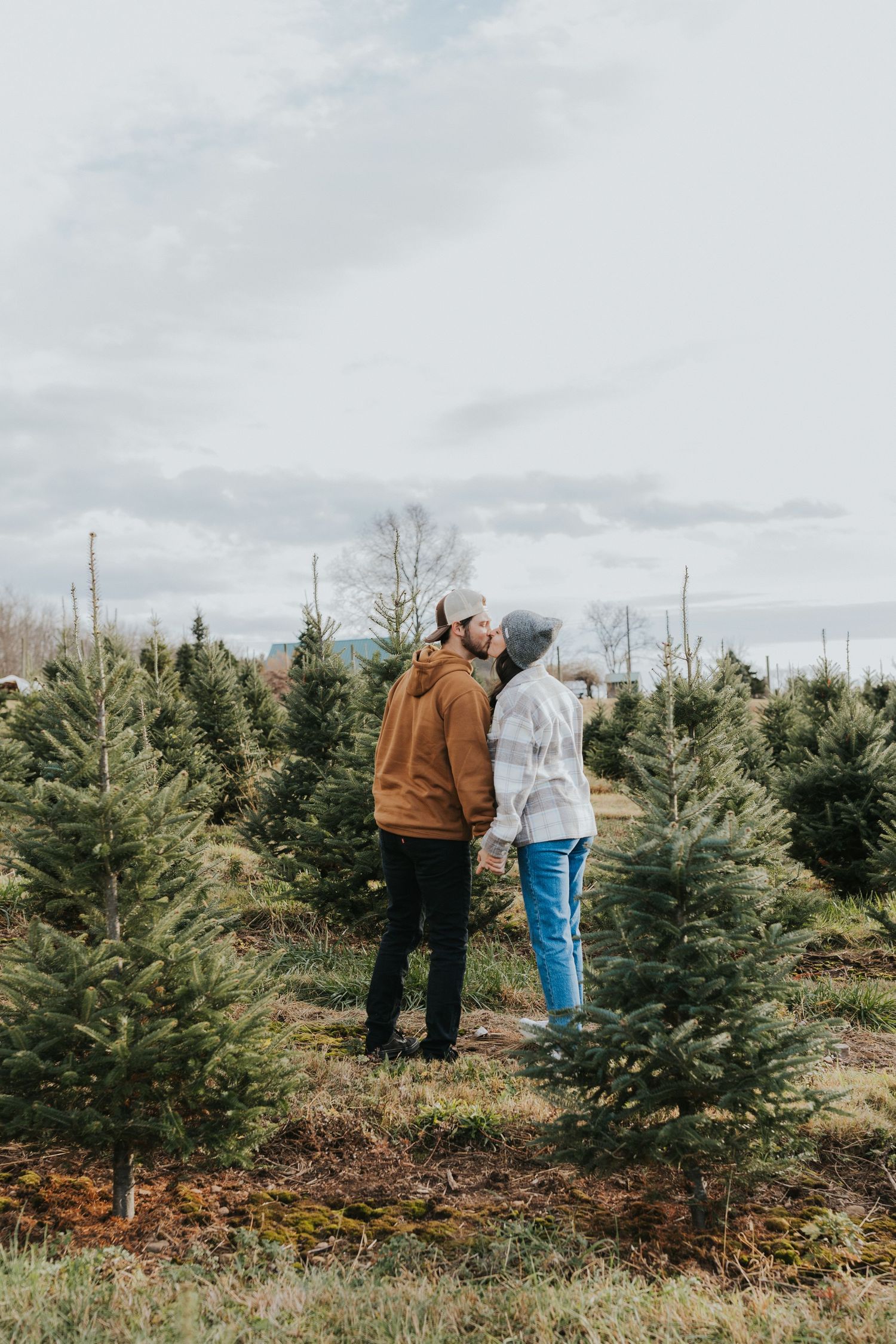 Couple kissing while holding hands among Christmas trees on an overcast day.