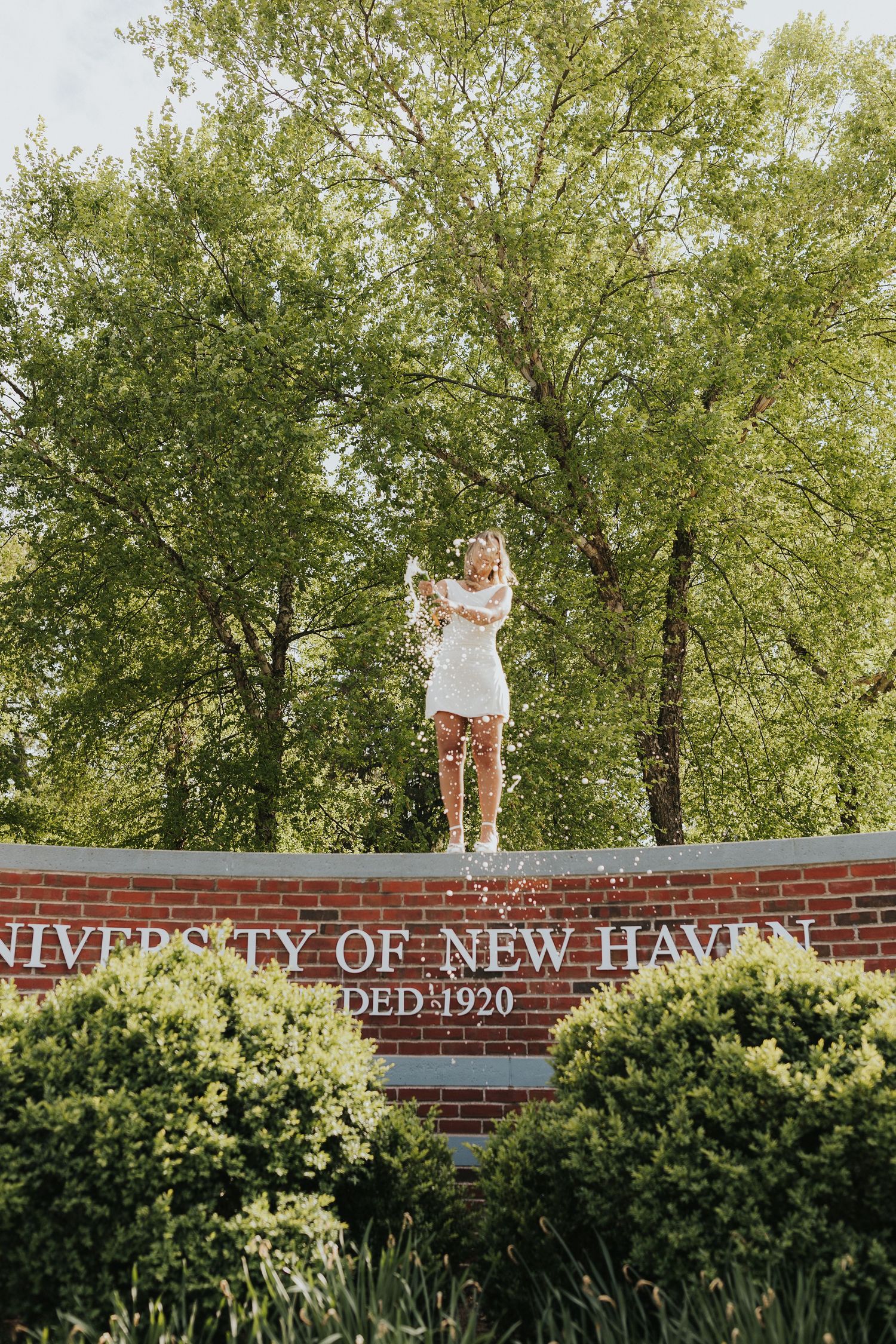 Female graduate in white dress popping confetti atop University of New Haven brick sign.