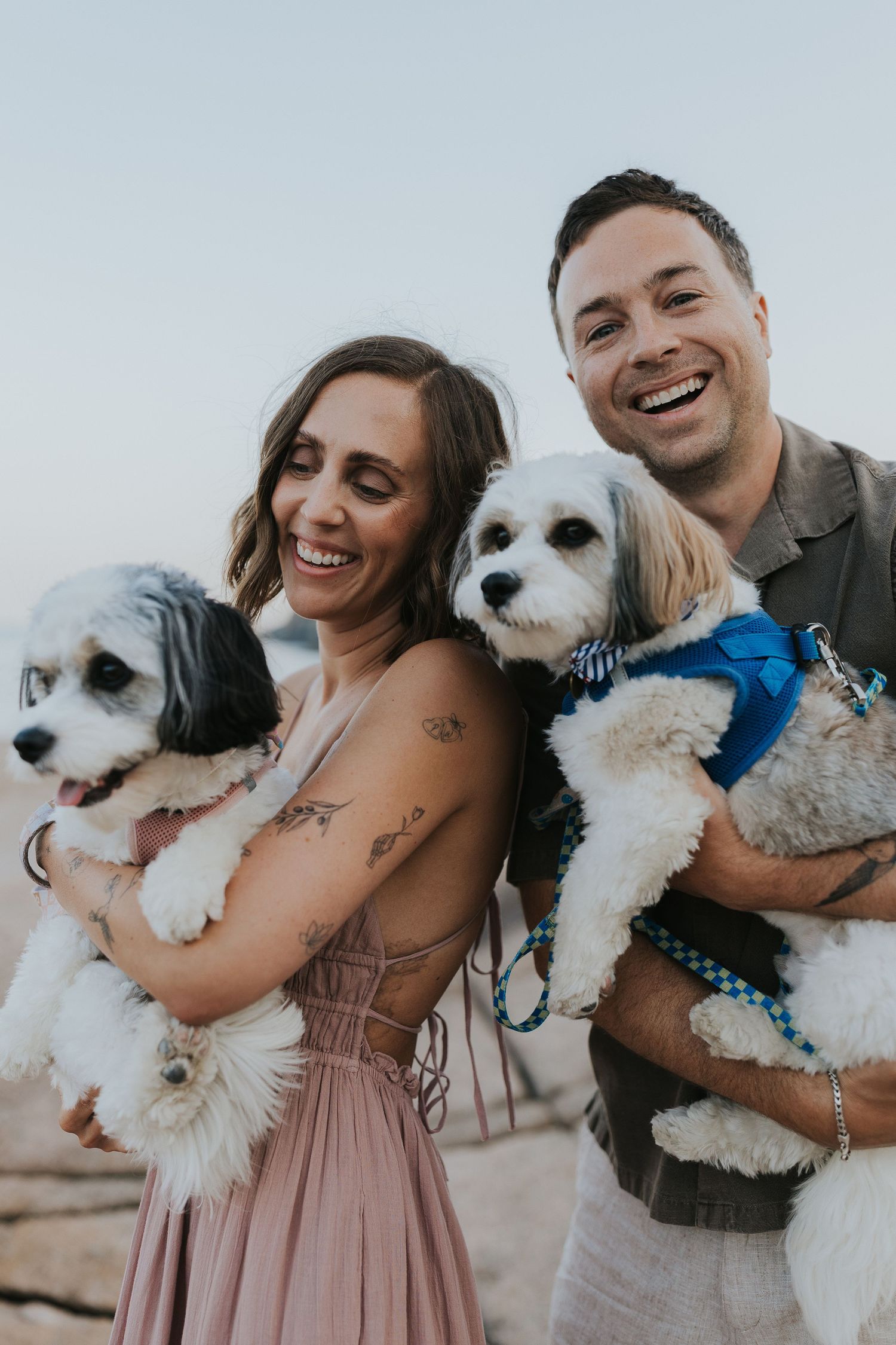 Smiling couple holding two small fluffy dogs outdoors at dusk near rocky coastal area.