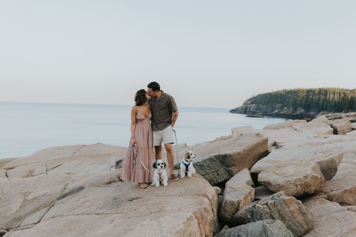 Couple standing on rocky coastline with two small dogs, ocean and cliffs in background.