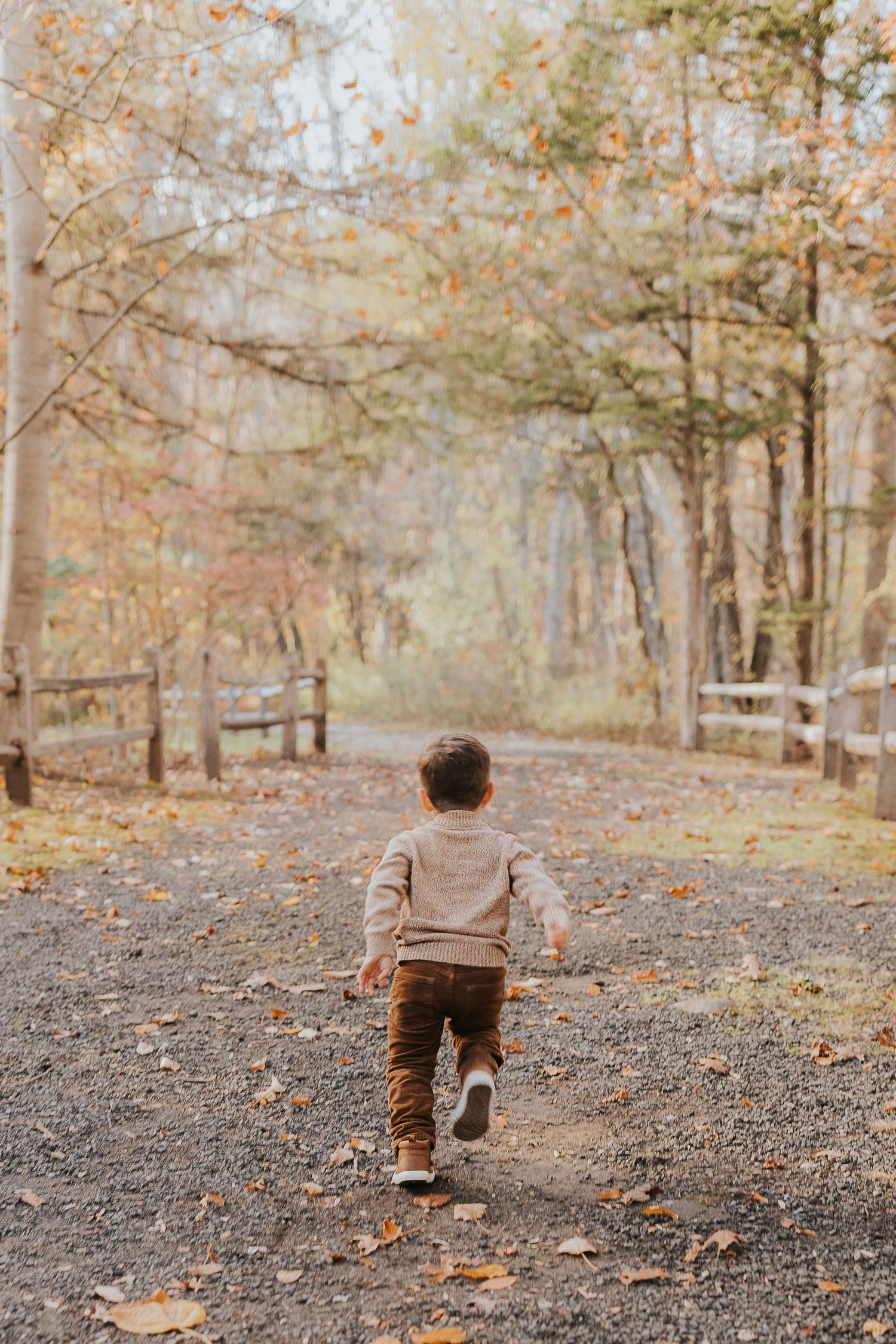 A toddler runs down a leaf-covered gravel path through an autumn forest with wooden fences.