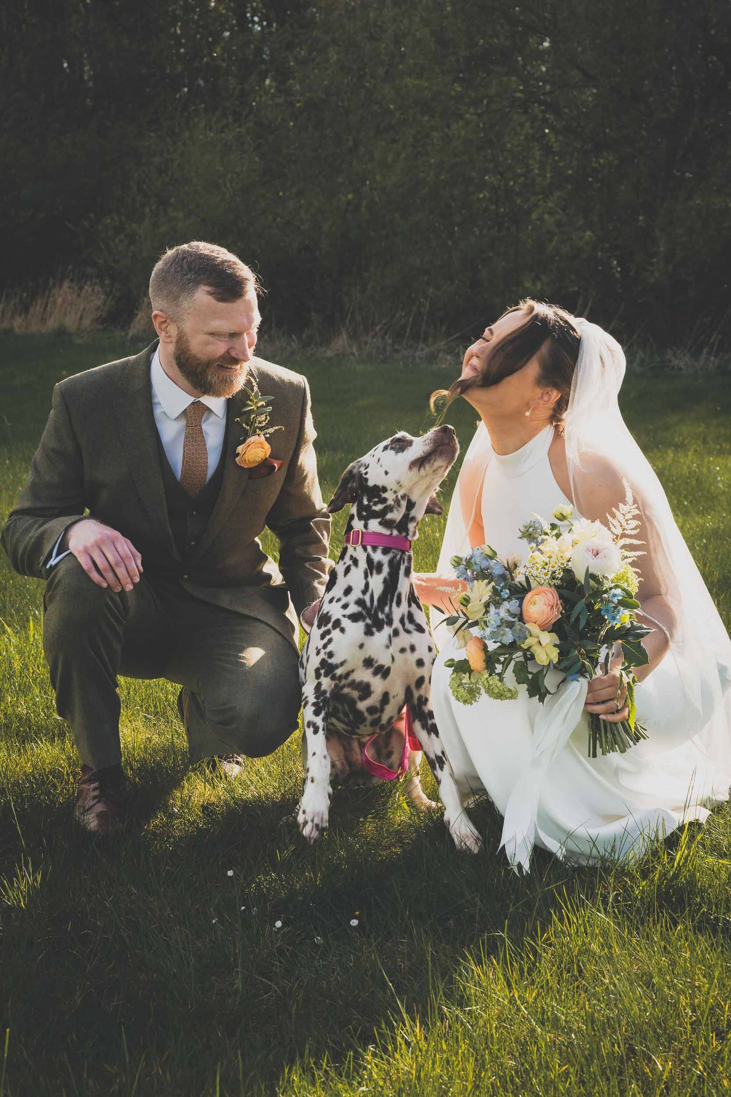 A bride and groom play with their Dalmatian at their wedding reception in Parbold