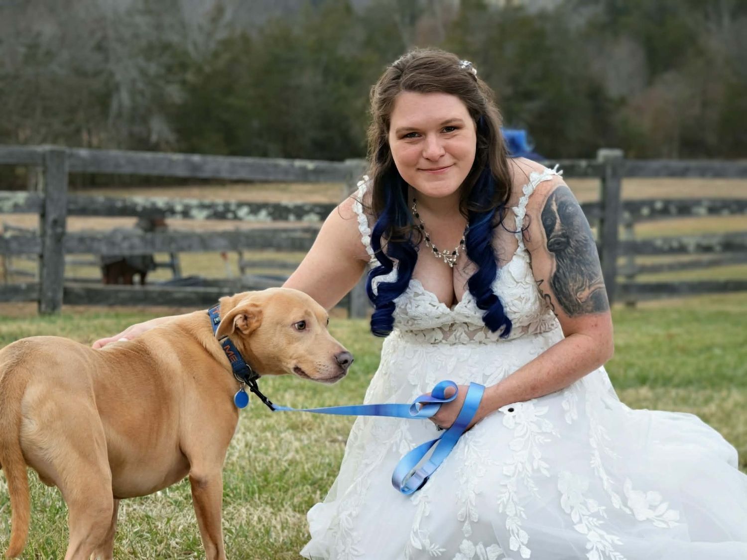 Bride in white lace gown with blue hair posing with tan dog on farm property.