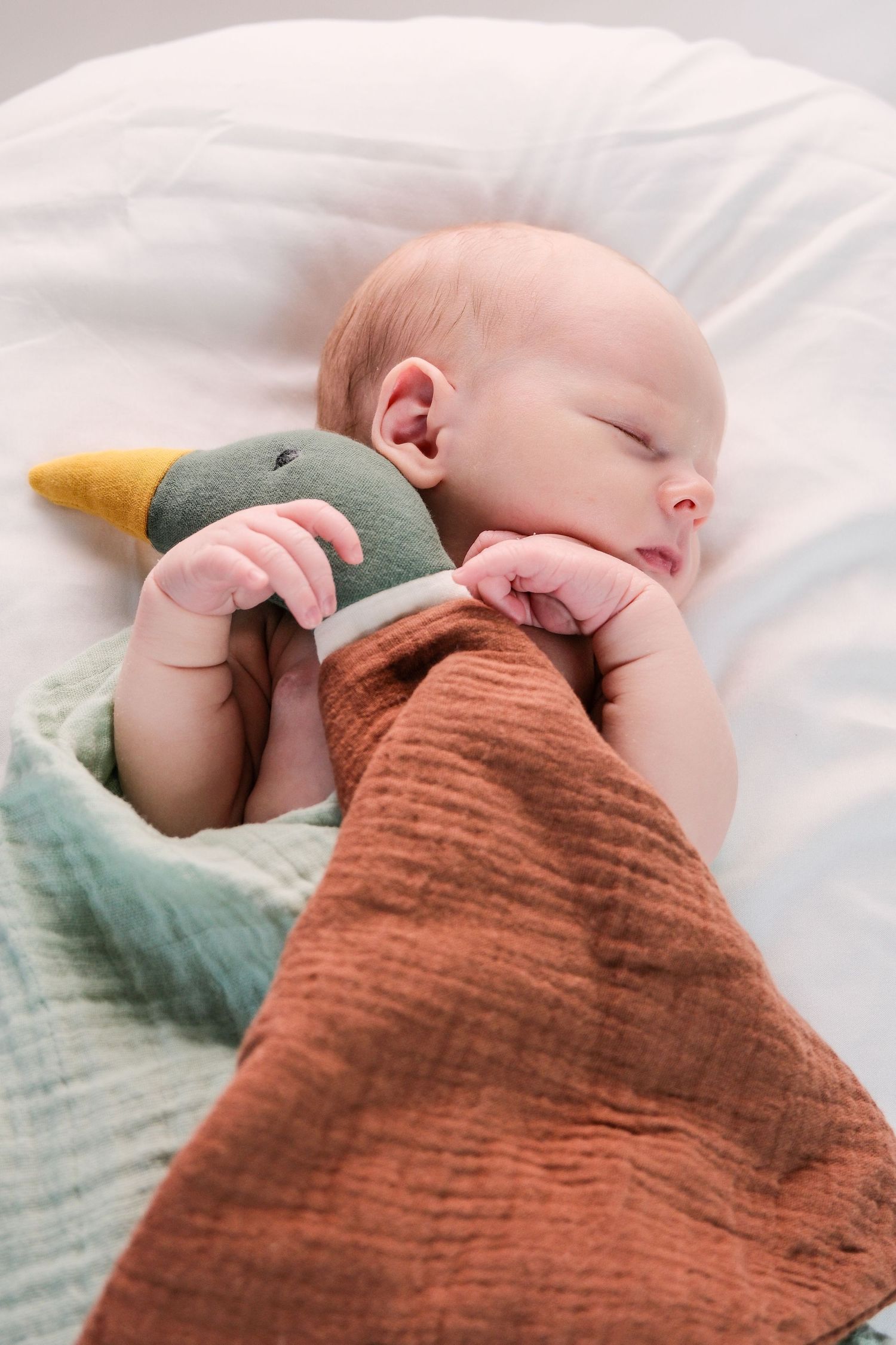 Peaceful newborn baby sleeping with a duck stuffed animal toy wrapped in brown and green muslin blankets.