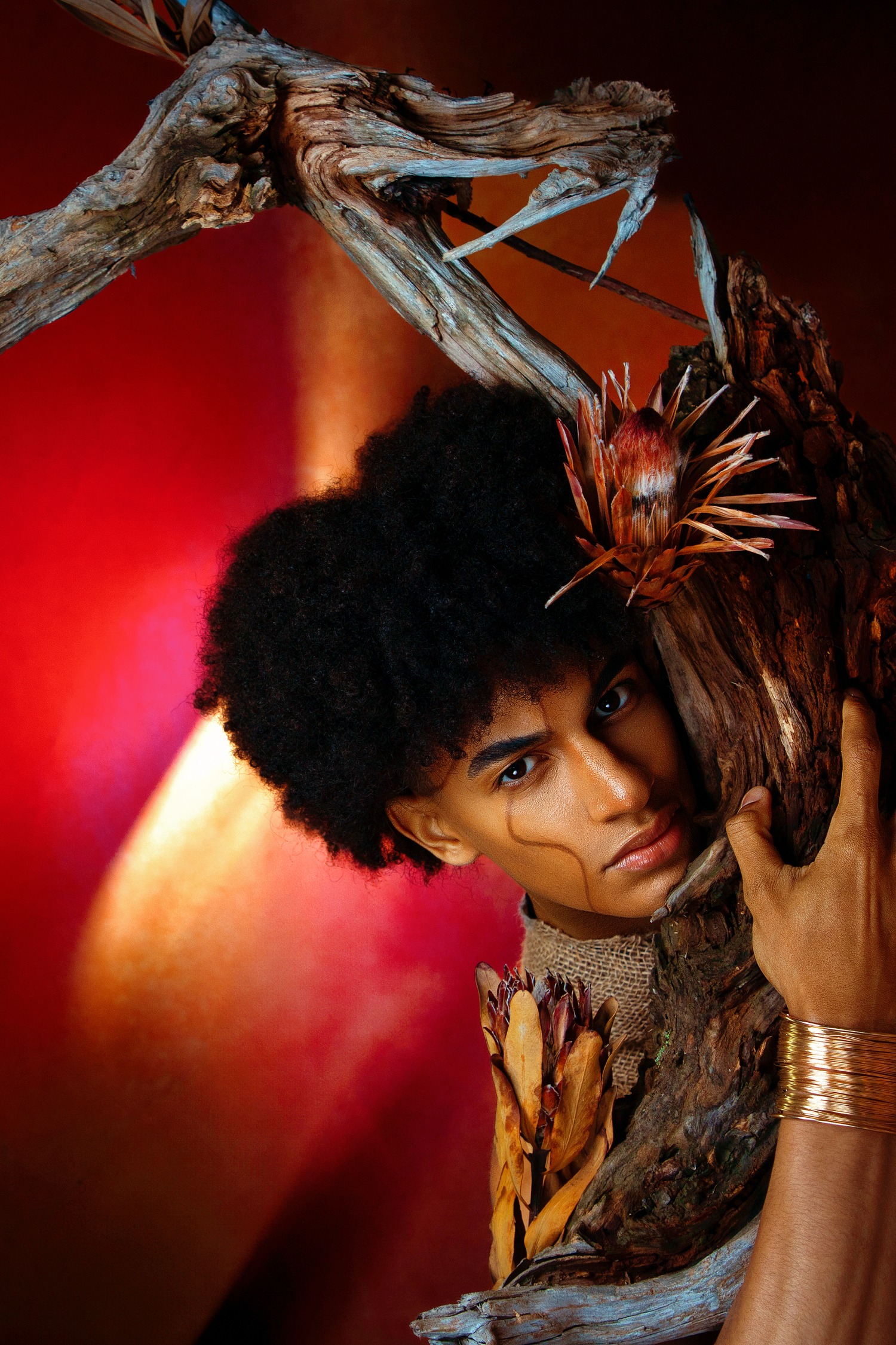 A model poses with driftwood and a protea flower crown against a dramatic red background.