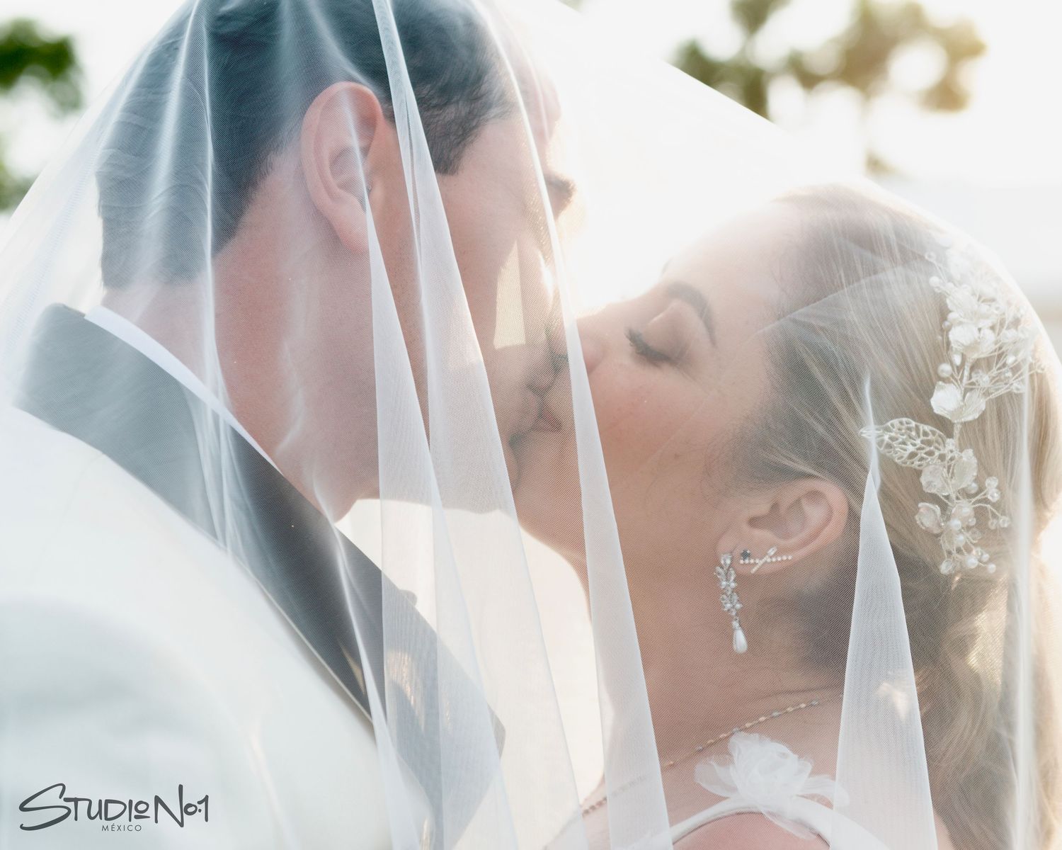 Bride and groom sharing a romantic kiss under a flowing veil in soft natural light.