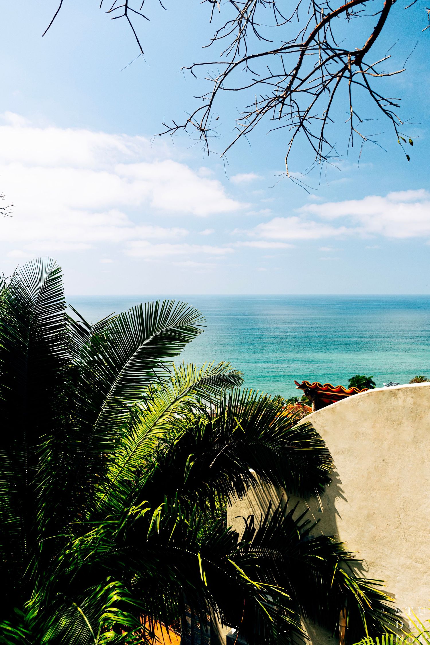 Tropical palm trees and lush greenery frame a stunning turquoise ocean view under a bright blue sky.