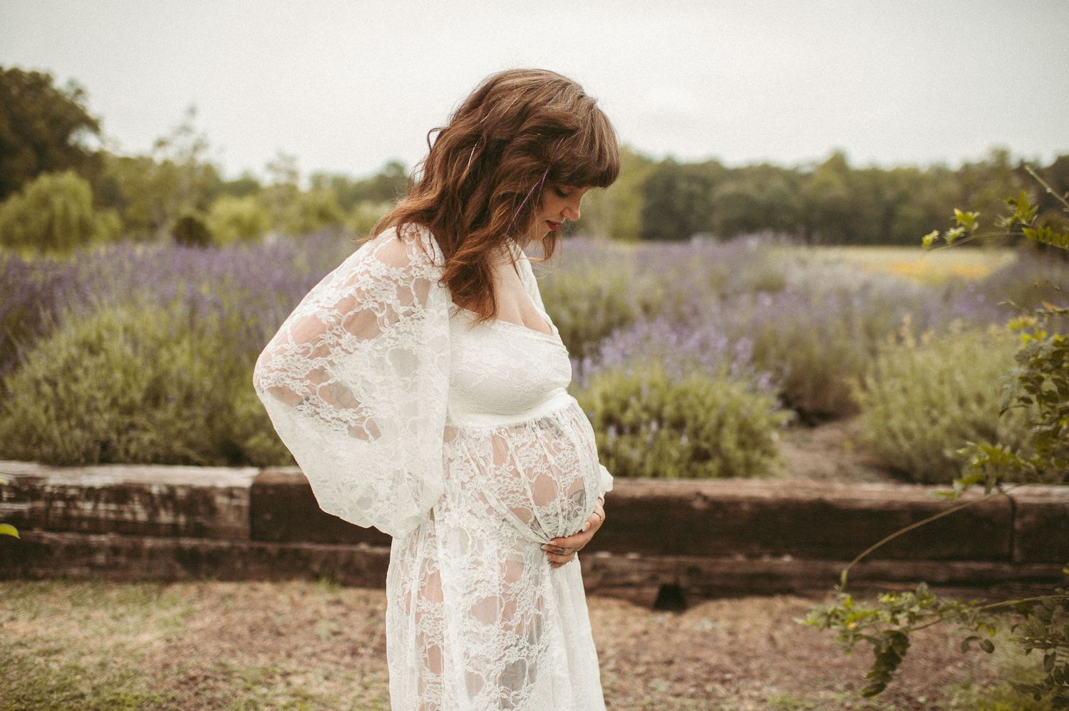 Expecting mother looking down at her belly at a lavender farm in Williamsburg, VA.