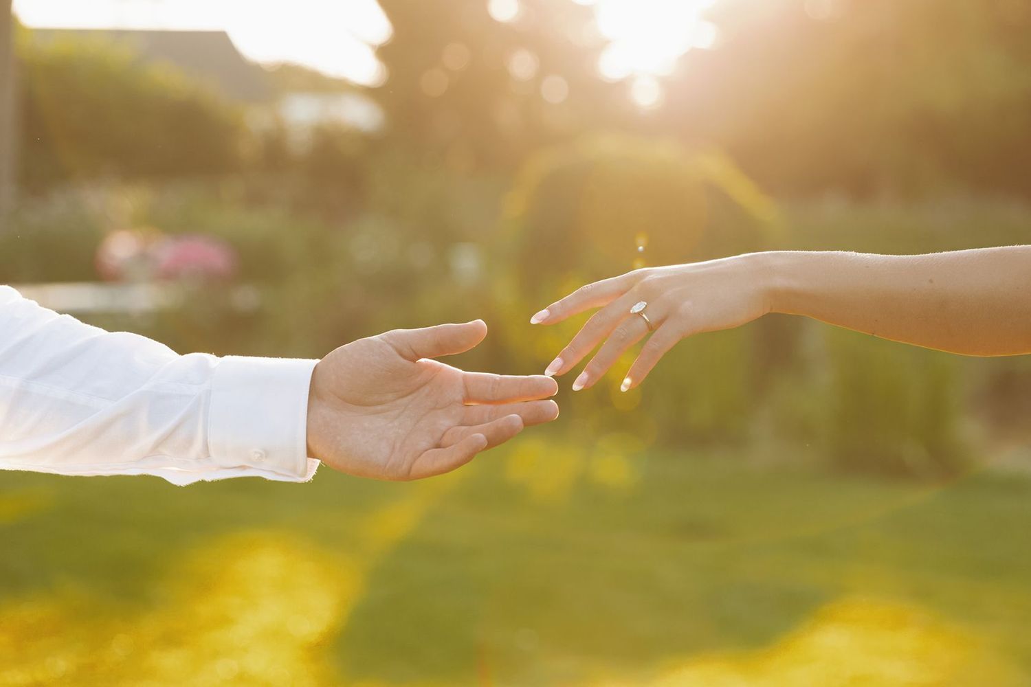 Two hands reaching toward each other in a sunlit garden, symbolizing love and connection at golden hour.