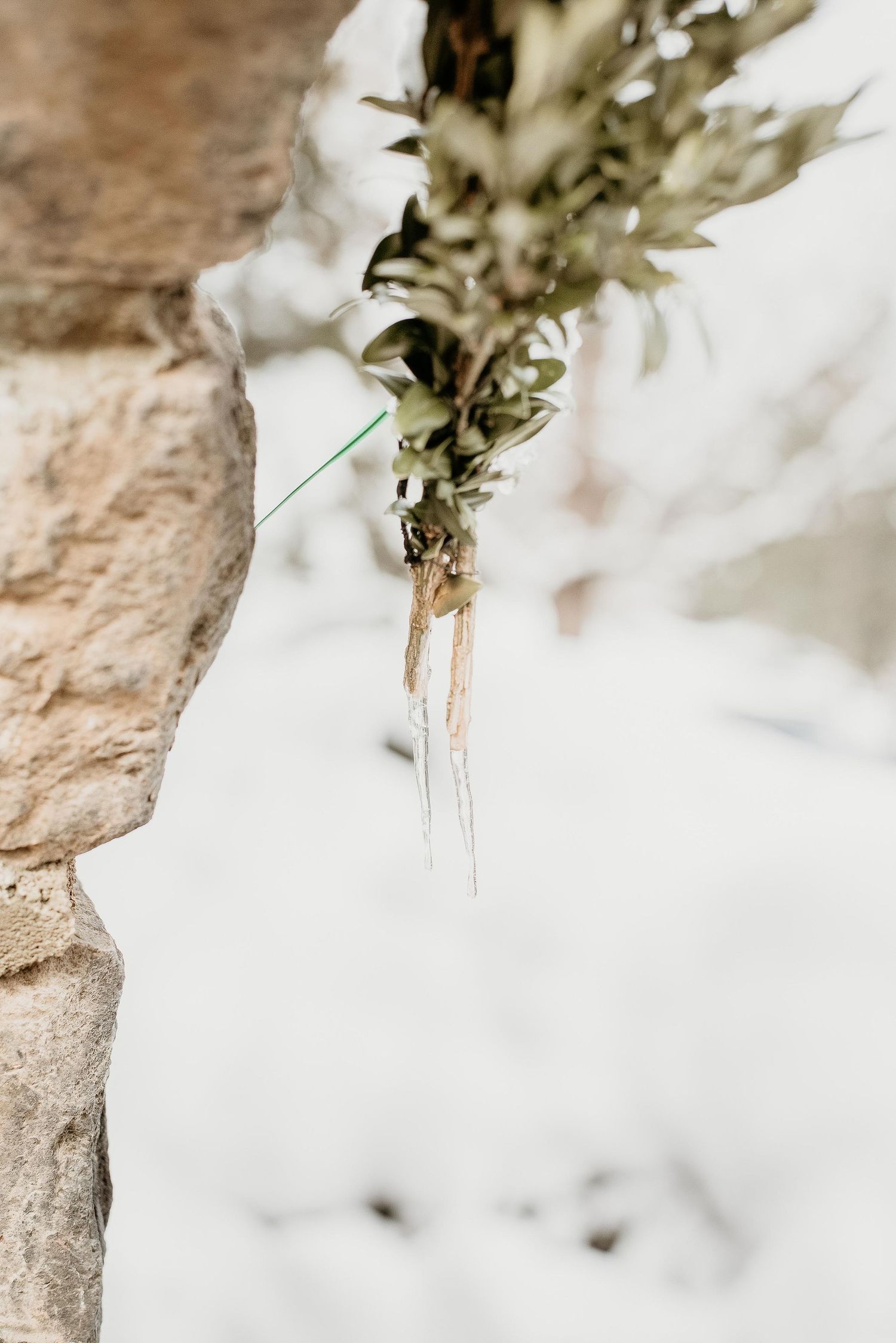 Green botanical sprig with trailing ribbons hanging against a snowy stone wall in a winter wedding setting.