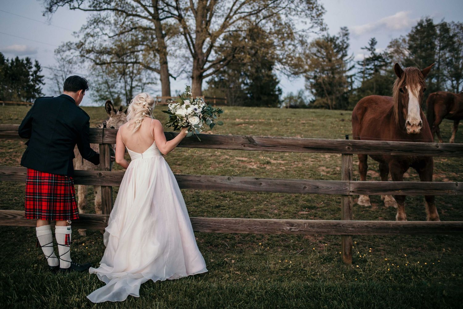 Bride in white gown and groom in red tartan kilt stand at wooden fence admiring a chestnut horse on a farm.