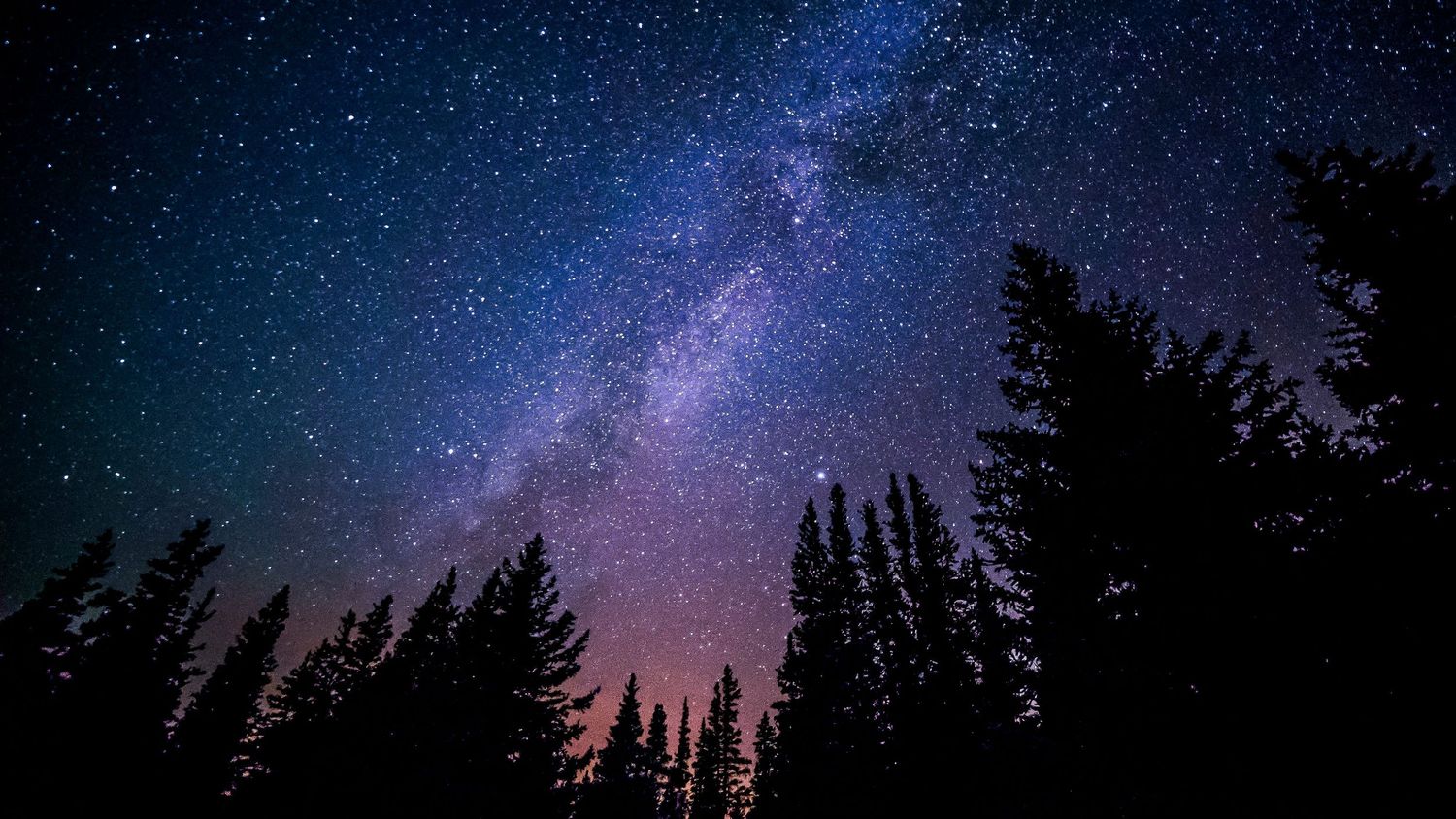 Stunning Milky Way galaxy visible over silhouetted pine trees under a vibrant starry night sky.