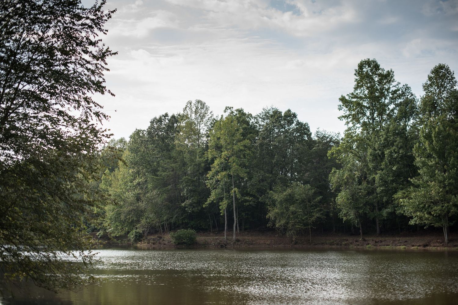 Serene lake surrounded by lush green trees reflecting on calm water on a cloudy day.