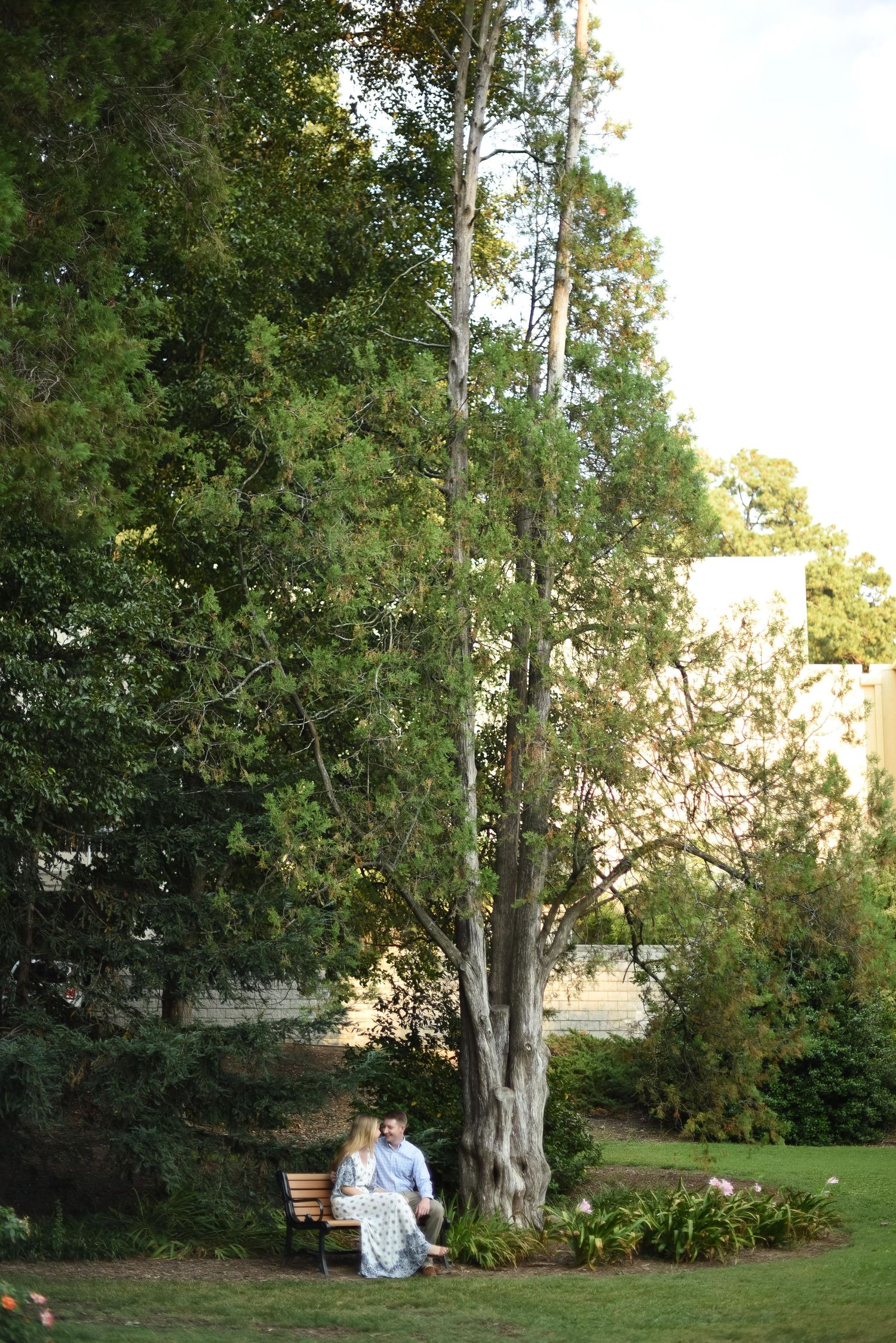 Couple sitting together on a wooden bench beneath a tall tree in a serene garden setting.