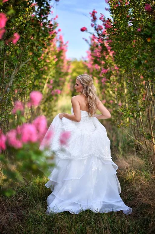 Bride in white gown walks through pink rose garden path on sunny day.