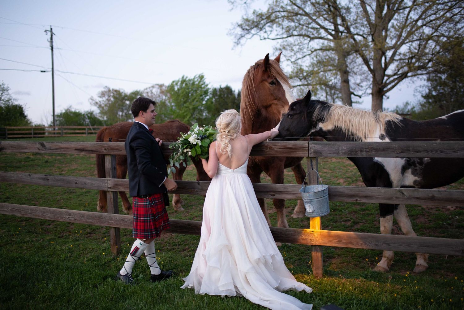 Bride and groom in Scottish kilt feeding horses at a wooden fence on a green farm at their outdoor wedding.