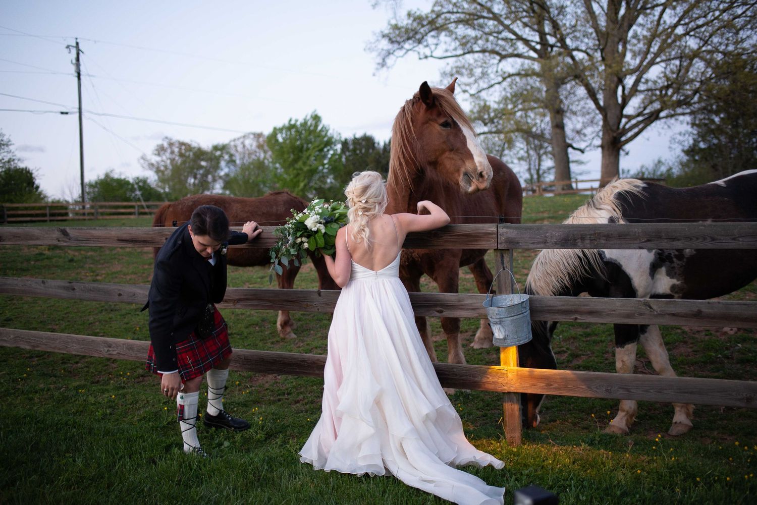 Bride in white gown and groom in kilt feeding horses at a rustic farm fence during an outdoor wedding celebration.