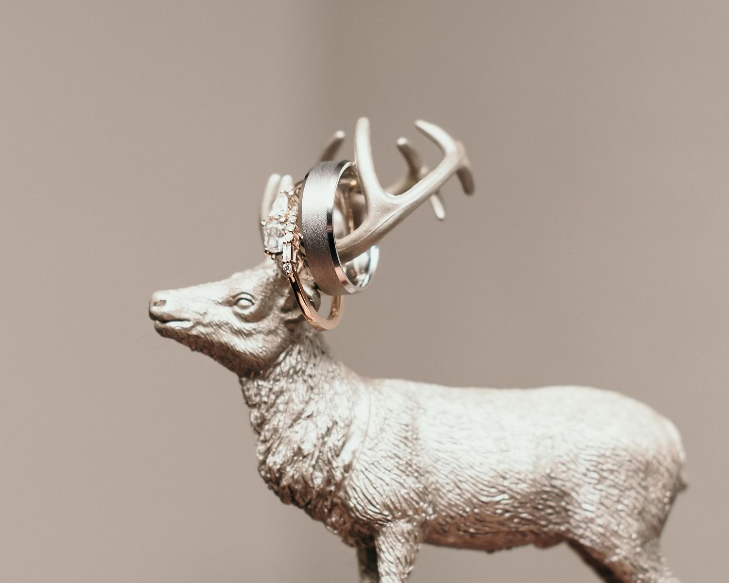A silver deer figurine with wedding rings draped over its antlers against a neutral background.