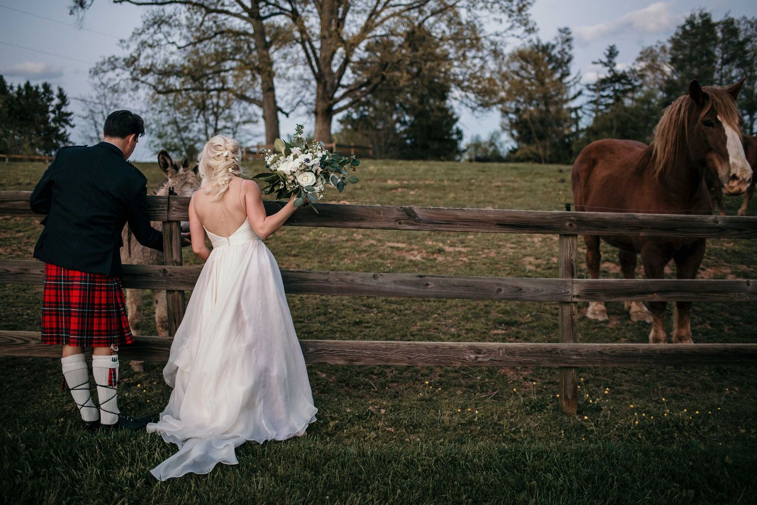Bride in white gown and groom in red tartan kilt stand at wooden fence admiring brown horses on a green farm.