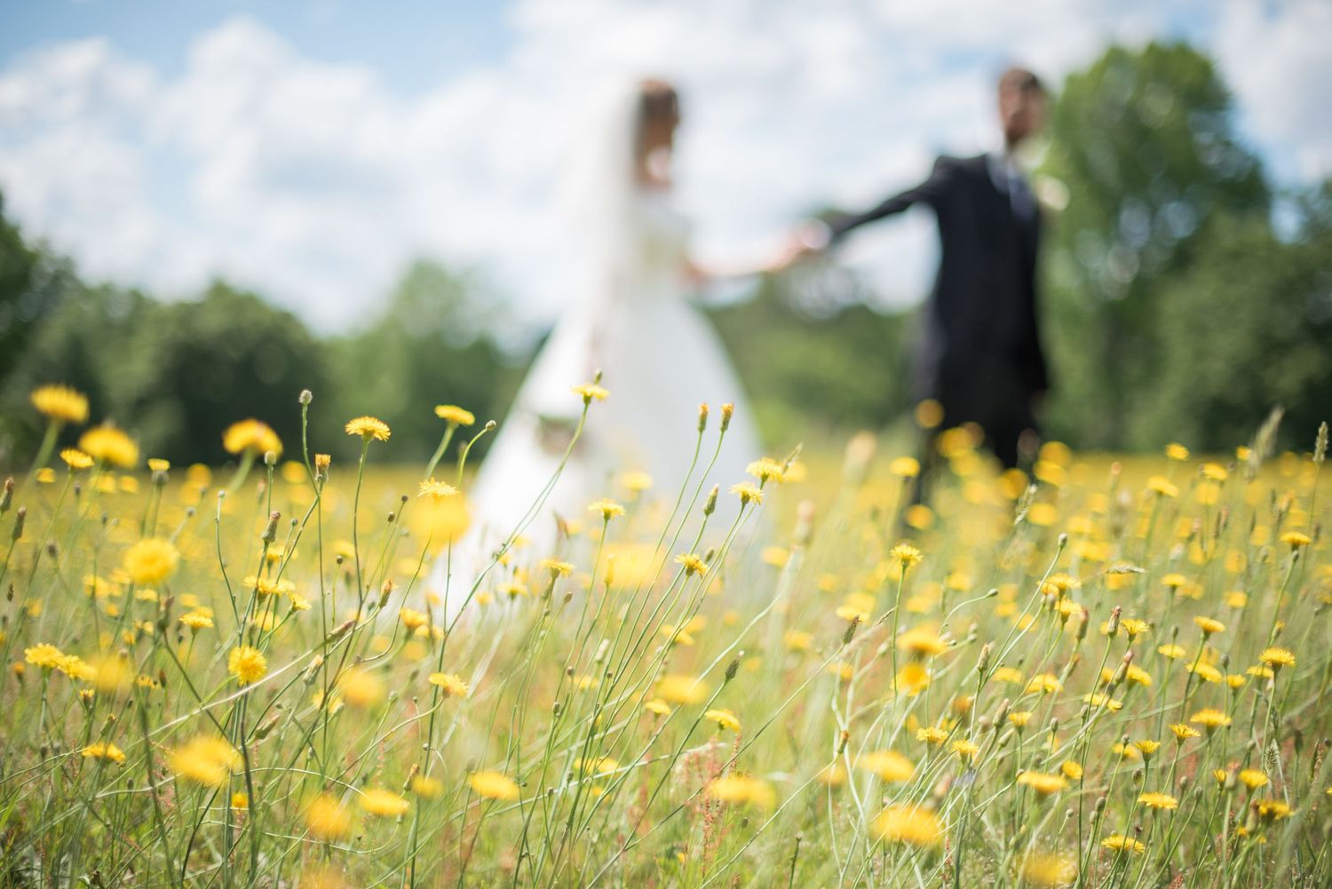 Bride and groom walk hand in hand through a vibrant yellow wildflower meadow on their wedding day.